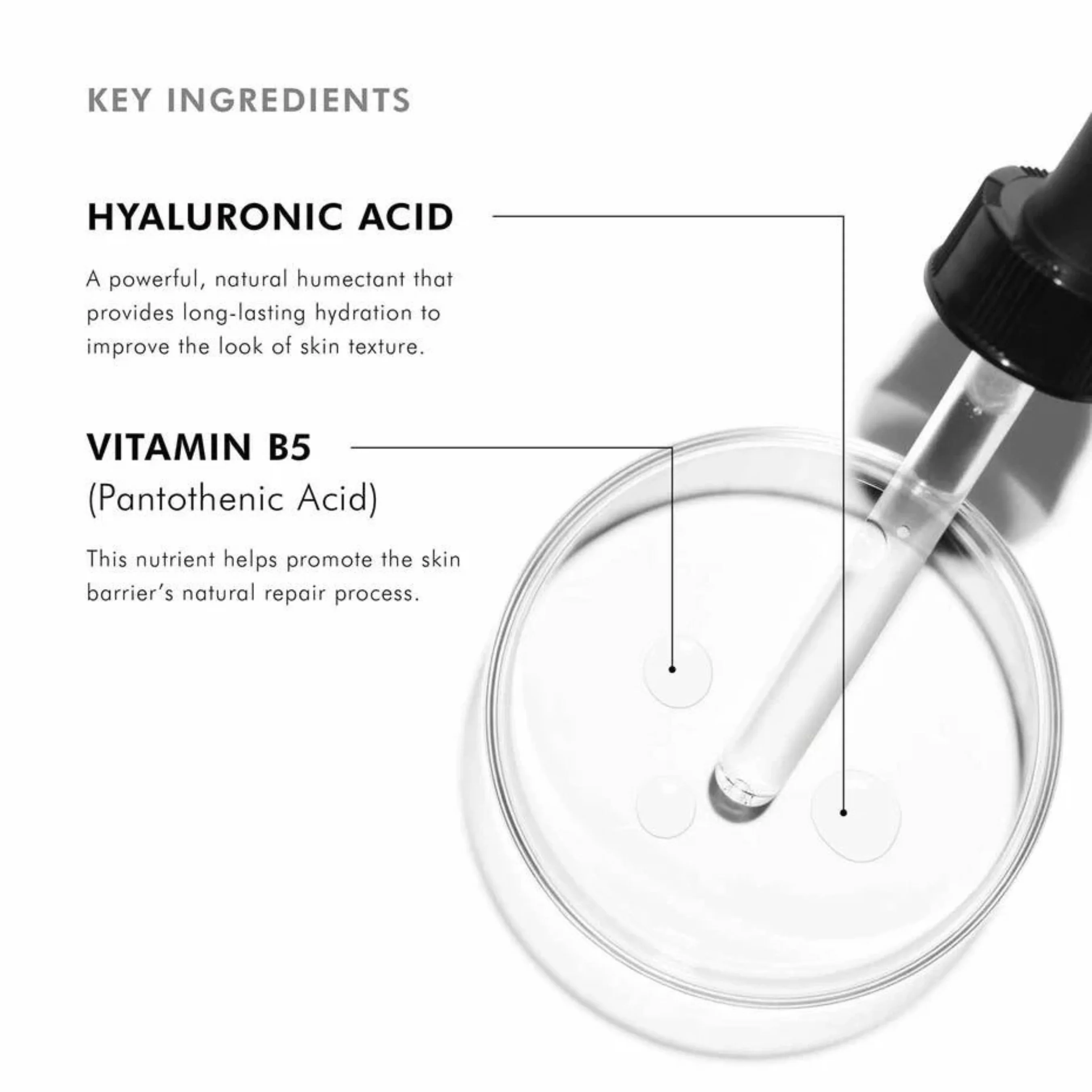 SkinCeuticals Hydrating B5 30ml - Image 6